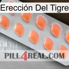 Erección Del Tigre 26